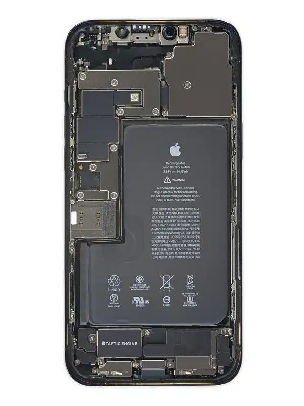 iPhone Pro Max
