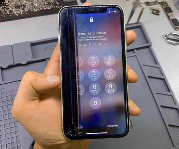 Cómo cambiar pantalla iPhone 11 y cuál es el precio - Tipos de pantalla