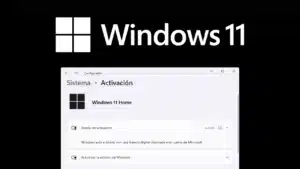 Instalar una Licencia de Windows 11