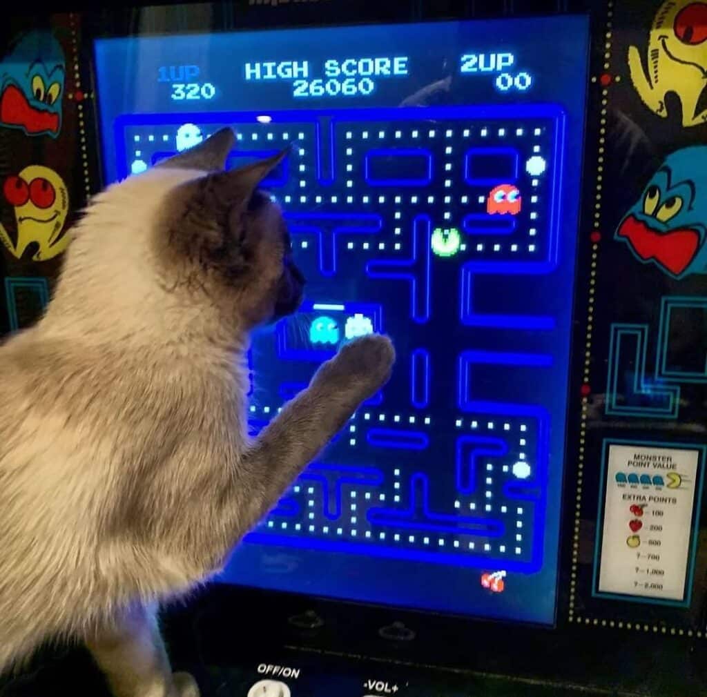 Remember Pac-Man - Portada