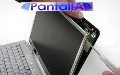 Cambiar Pantalla Portátil