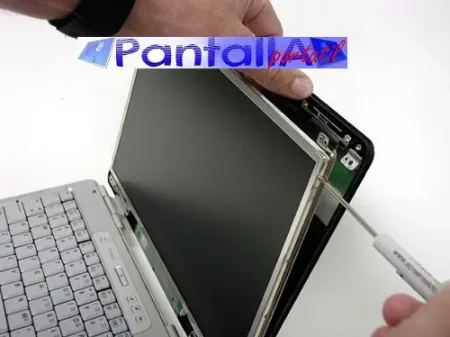 Cambiar Pantalla Portátil