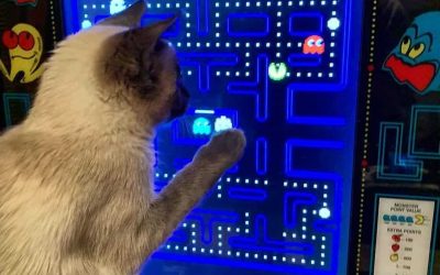 Remember Pac-Man - Portada